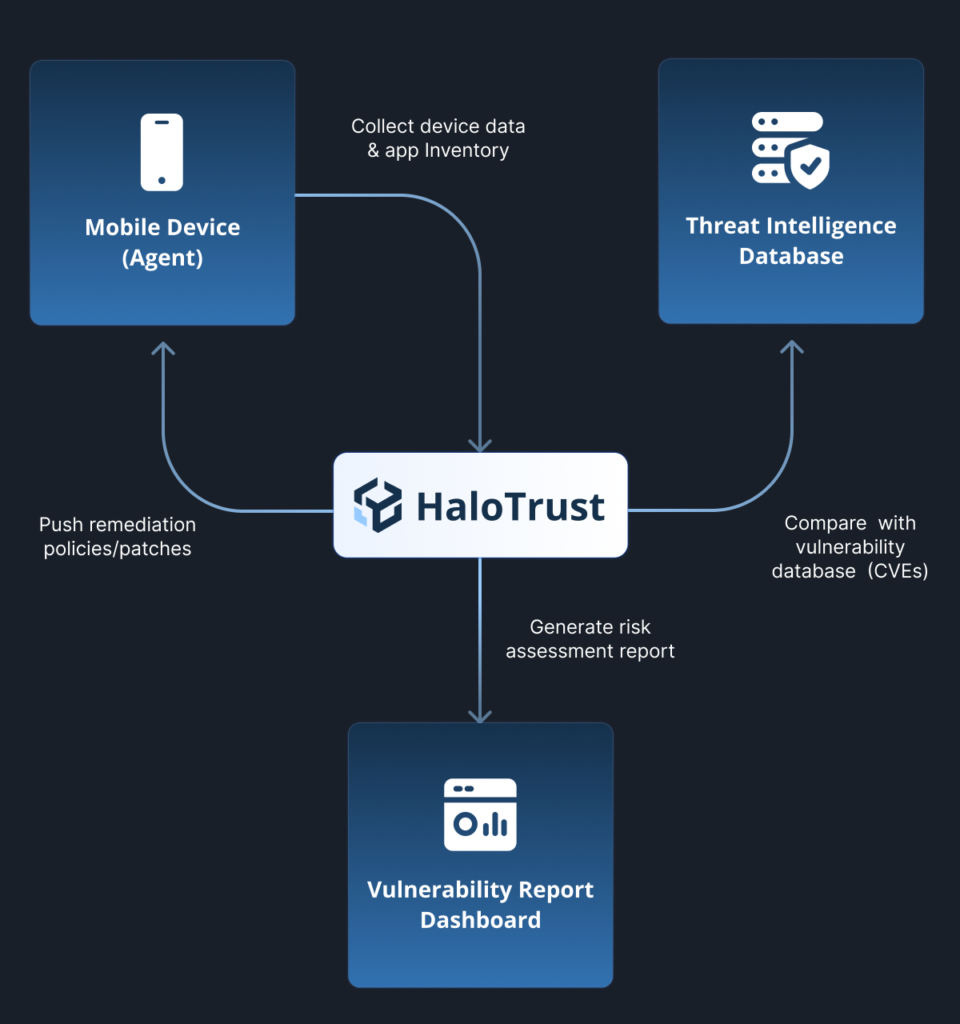 Vulnerability Management and Software Hygiene
